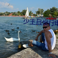 少主且慢行电视剧免费观看