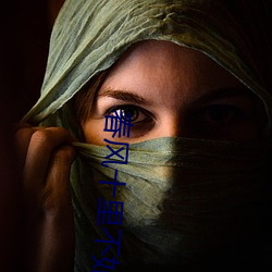 春(chūn)风十里(lǐ)不如你小(xiǎo)说