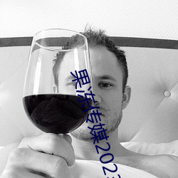 果冻传媒2023一二三在线观看
