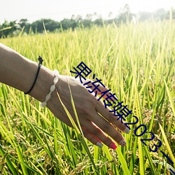 果冻传媒2023一二三在线(xiàn)观看