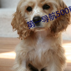 第一導航500精品