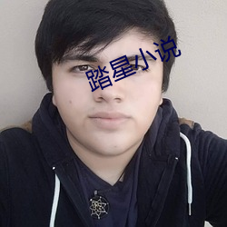 踏星小說