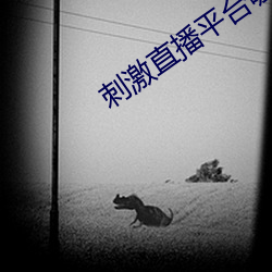 刺激(jī)直播平台哪个好无毒的(de)