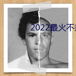 2022最(最)火不封号直(直)播