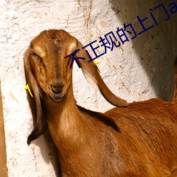 不(不)正规的上门app