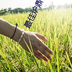 最佳爐鼎