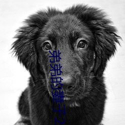 弟弟的妻子2