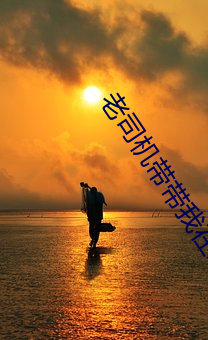 老司(sī)机(jī)带(dài)带我在线精彩免费(fèi)