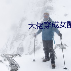 大佬穿成女配(快穿)
