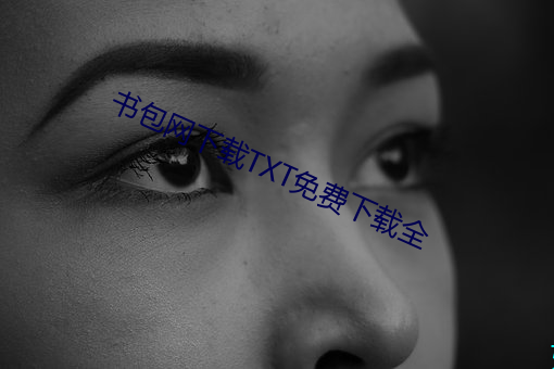 书包网(wǎng)下载txt免费下载全