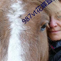 987vt花蝶直播下載