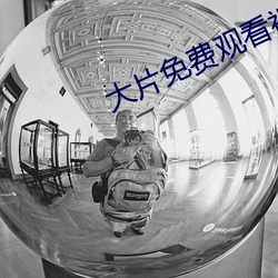 大片免费观看(kàn)视频播放(fàng)器(qì)