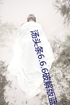 湯頭條6.6.6破解版藍奏雲