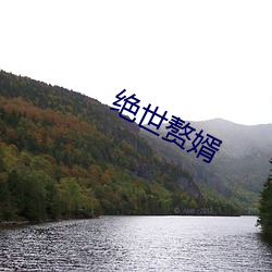 绝世赘婿