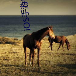 ios手游中国(guó)iphone畅(chàng)销(xiāo)榜