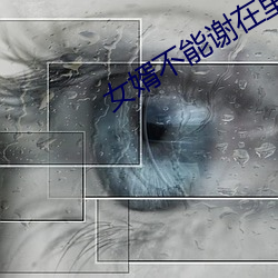 女婿不能謝在裏面