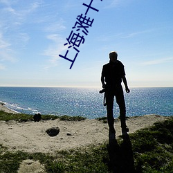 上海滩十三太保免费观看完