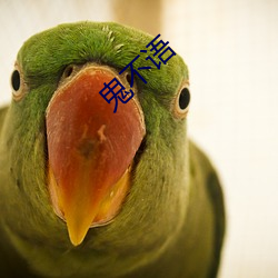鬼不語