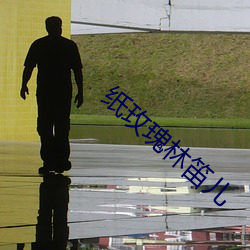 纸玫瑰林笛儿