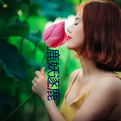 鹿妖逐鹿