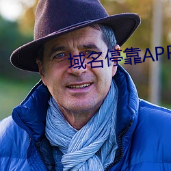 域名停靠(靠)app盘他射门(門)游戏