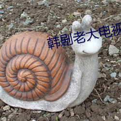 韩(韓)剧(劇)老大电视剧免费(費)全(全)集在