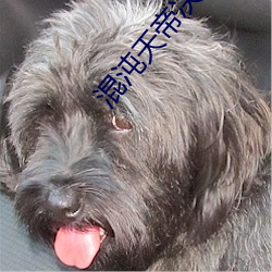 混沌天(tiān)帝决(jué)