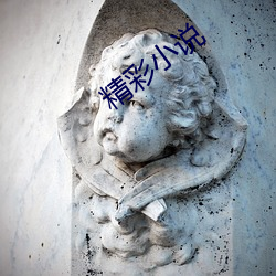精彩小说
