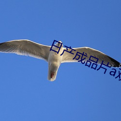 日产(産)成品片(片)a观看(看)入(入)口