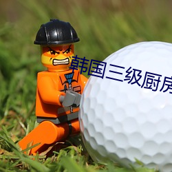韩国三级厨房边洗碗边做