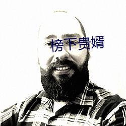 榜下贵婿