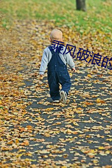 乘风破浪的姐姐第二季在线
