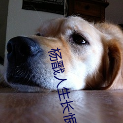 杨戬人生长恨水长东