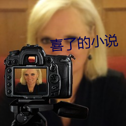 喜(喜)了的小(小)说
