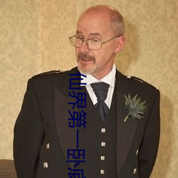 仙界第一卧底