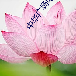 中华(華)广场(場)电影(影)院