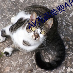 av无码免费app