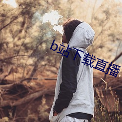 b站下载直播