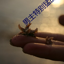 男主(zhǔ)特别猛的糙汉公路文