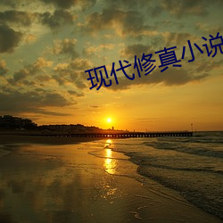 现代修真小(小)说