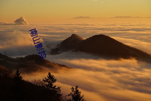 南山影院