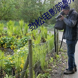 劲松电影院影讯