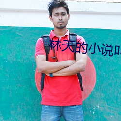 林天的小(xiǎo)说(shuō)叫什么(me)