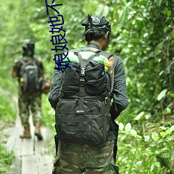 娘娘她不想再努力了