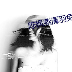 陈枫燕清羽免费阅读