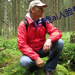 《白鹿ai人(人)脸替换视频(頻)》