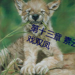 第十三章(章) 素云调情诱淫贼 一(一)箭双(雙)雕(雕)戏双凤
