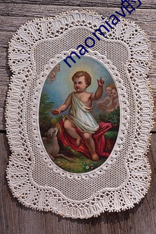 maomiav的(的)会(會)员账号(號)