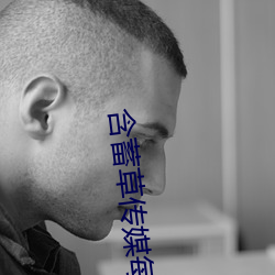 含蓄草传(chuán)媒(méi)每日(rì)免费三次