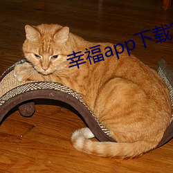 幸福app下载wepoker官网入口
